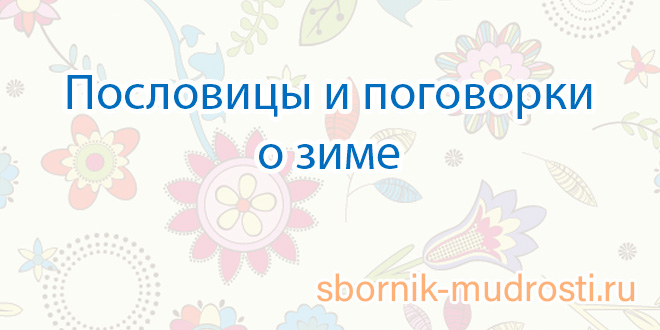 Поговорки Про Новый Год Поговорки Про Новый Год