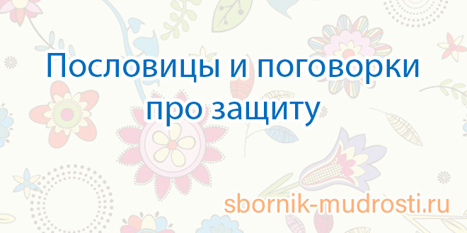 Пословицы и поговорки про защиту