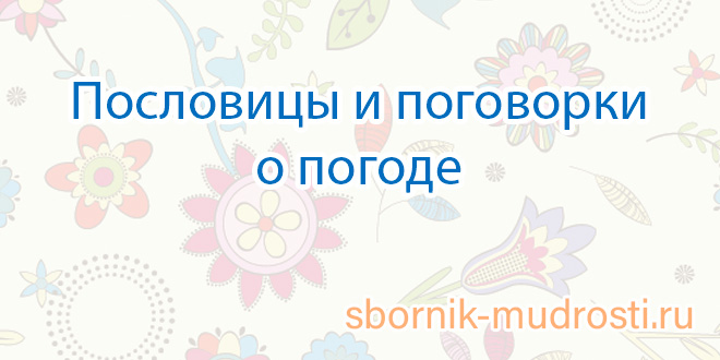 И коротко о погоде давайте никуда не пойдем картинки