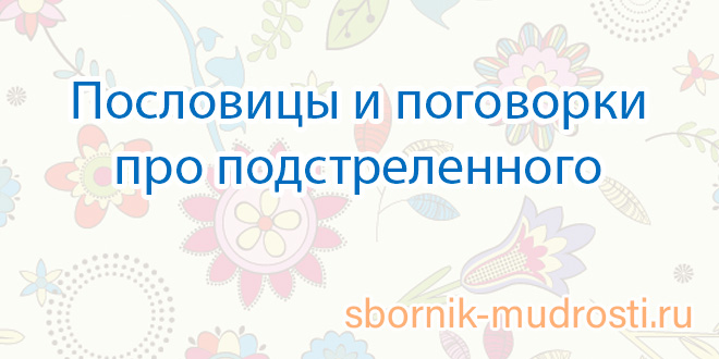 Пословицы и поговорки про подстреленного