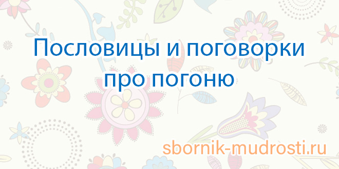 На двух стульях не усидишь похожие поговорки