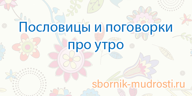 Сочинение По Пословице Утро Вечера Мудренее Сочинение По Пословице Утро Вечера Мудренее